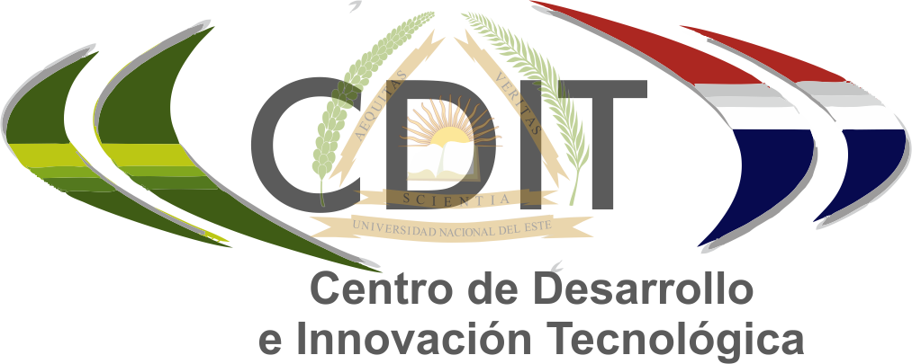 logo cdit 1